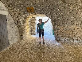 IMG_6501