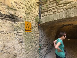 IMG_6502