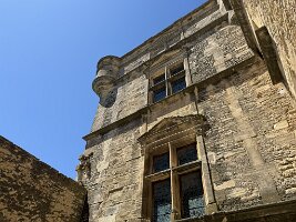IMG_6504