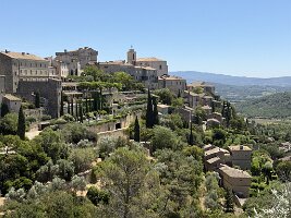 IMG_6508