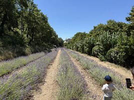 IMG_6509