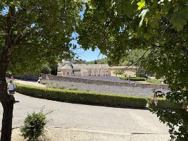 IMG_6510