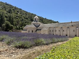 IMG_6512