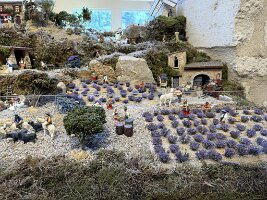 IMG_6518