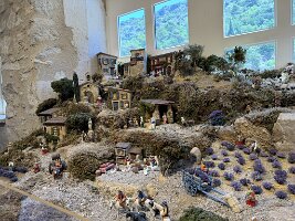 IMG_6519
