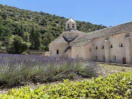 IMG_6520
