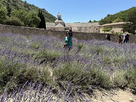 IMG_6526