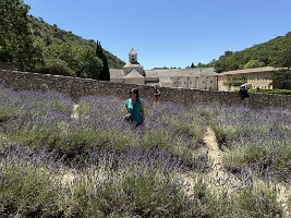 IMG_6527