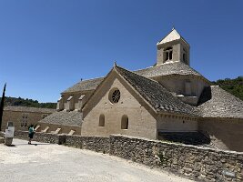 IMG_6533
