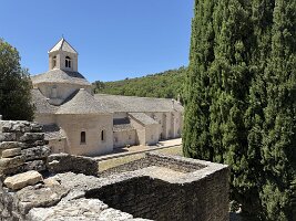 IMG_6536