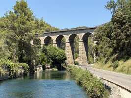 IMG_6539
