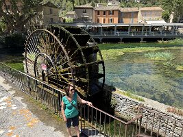 IMG_6541