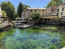 IMG_6542