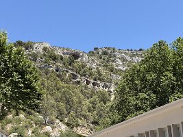 IMG_6543