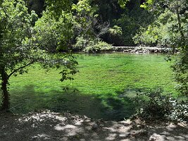 IMG_6545