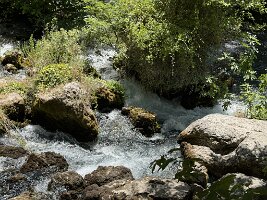 IMG_6548
