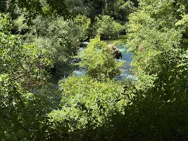 IMG_6553
