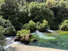 IMG_6556