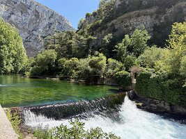 IMG_6557