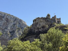 IMG_6559