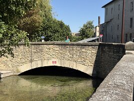 IMG_6560
