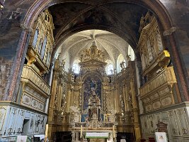 IMG_6565