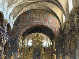 IMG_6568