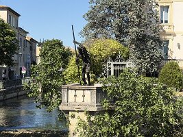 IMG_6572