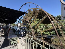 IMG_6573