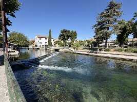 IMG_6576
