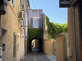 IMG_6577