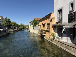 IMG_6580