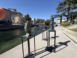 IMG_6582