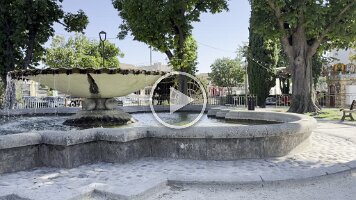 IMG_6584