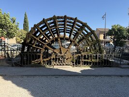 IMG_6585