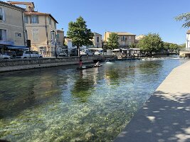 IMG_6590