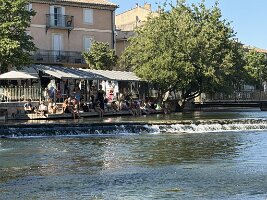 IMG_6593