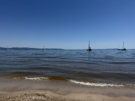 IMG_6596