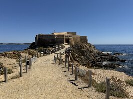 IMG_6600