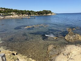 IMG_6601