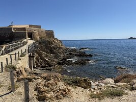 IMG_6602