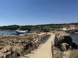 IMG_6608