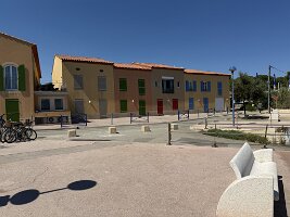 IMG_6610