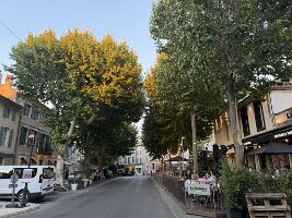 IMG_6613