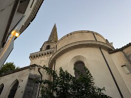 IMG_6621