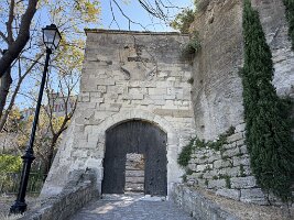 IMG_6636