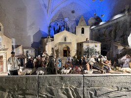 IMG_6639