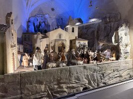 IMG_6641
