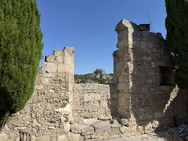 IMG_6646