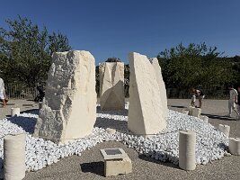IMG_6651